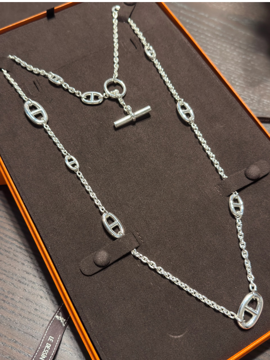 [⭐Maelin]Classic Silver Sweater Chain